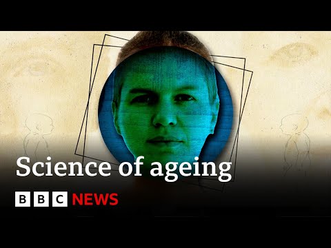 How to live longer, according to science - BBC News